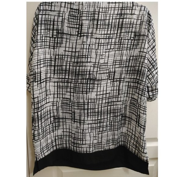 PAPAYA LOOSE VNECK BLOUSE (US 8) - Picture 2 of 4